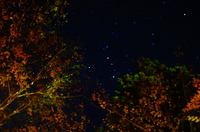 DSC01734.JPG