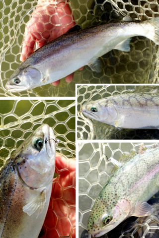 image-20120201205109.png