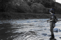 2012_05062012GW0180.JPG