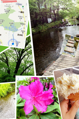 image-20120503201552.png