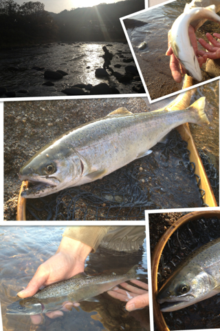 image-20130417121333.png